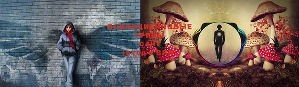 мескалин Армянск